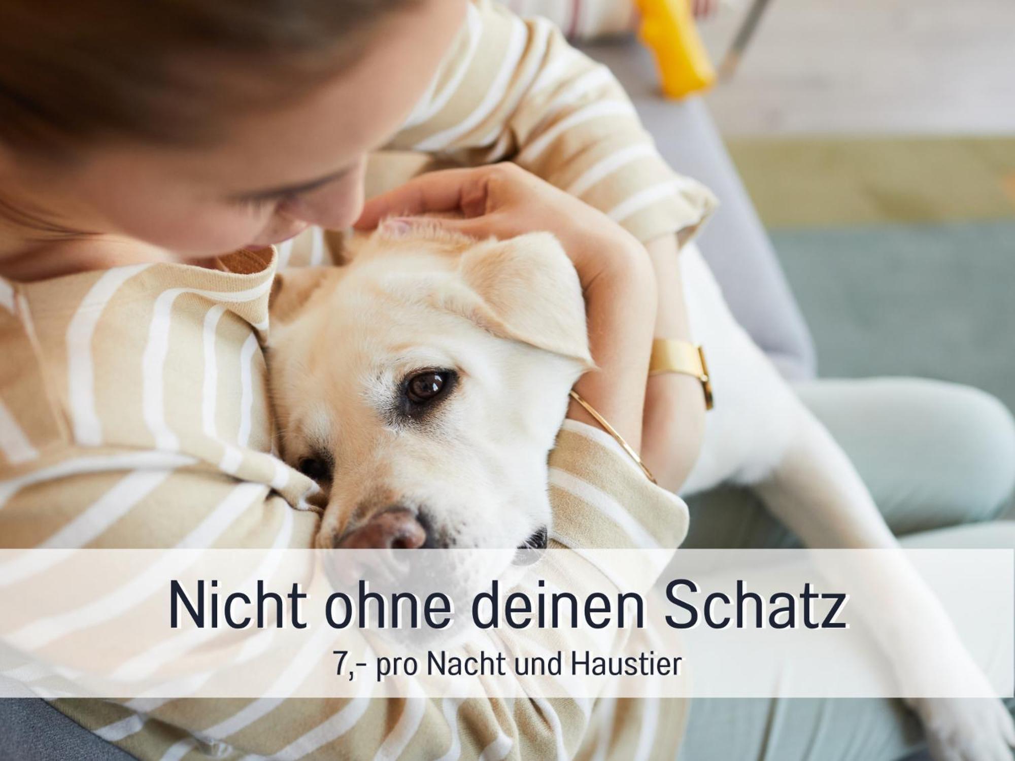 Ferienloft Sternenblick - Strandnah, Haustierfreundlich, Tolle Kueche, Optimal Fuer Workation, 4 Personen Steinberg  Eksteriør billede